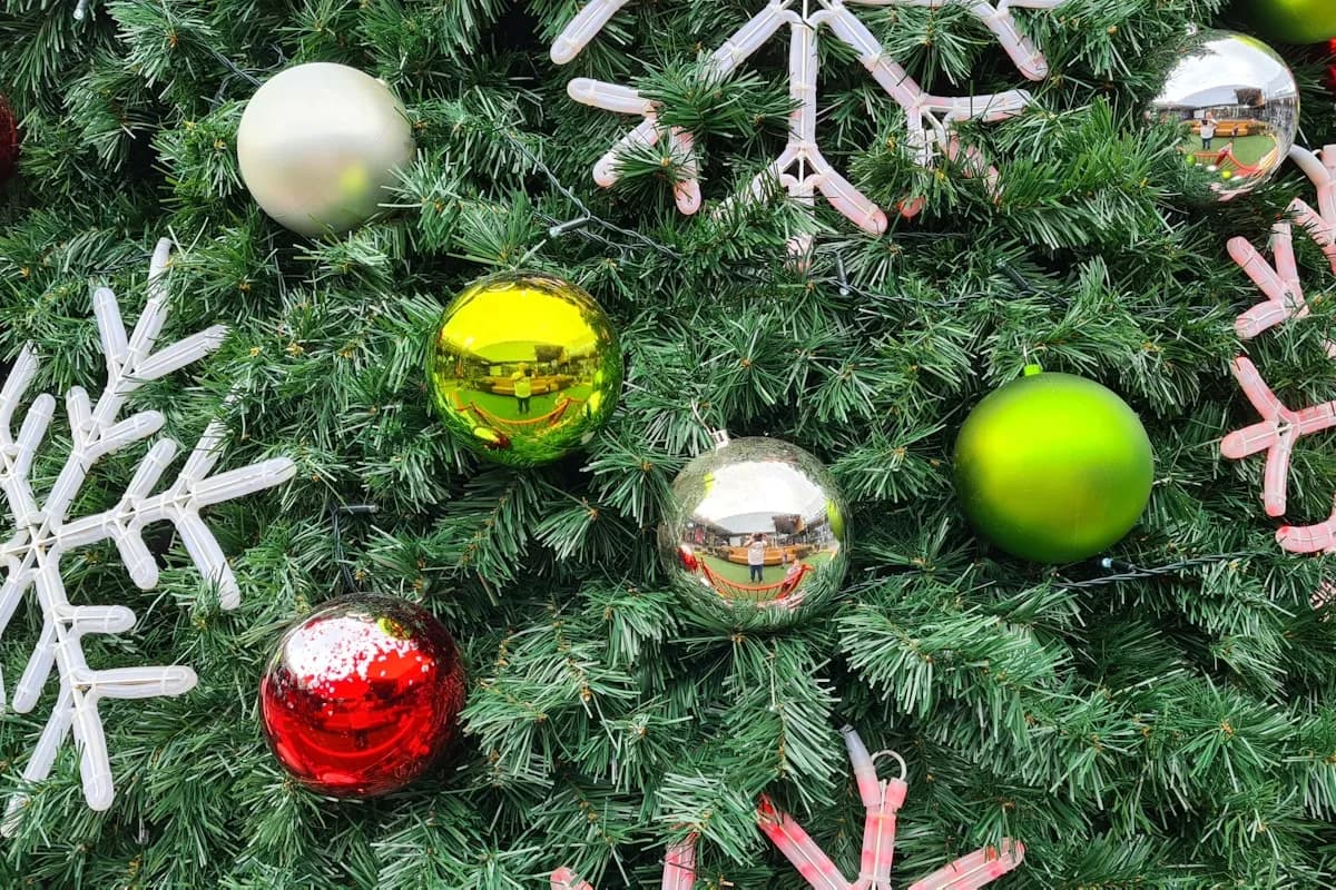 API Architecture & Integration