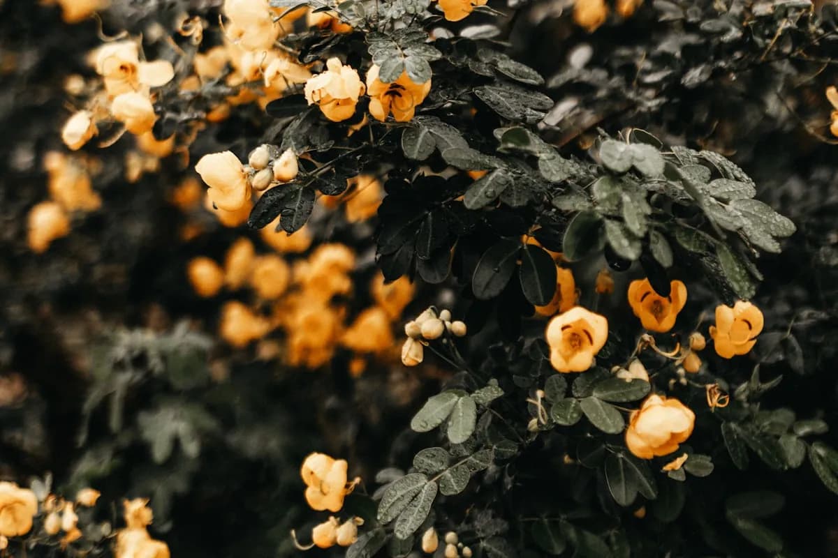 MCP Server Development