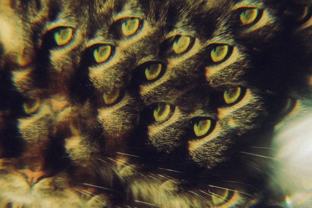 Fordel Studios engineering capabilities