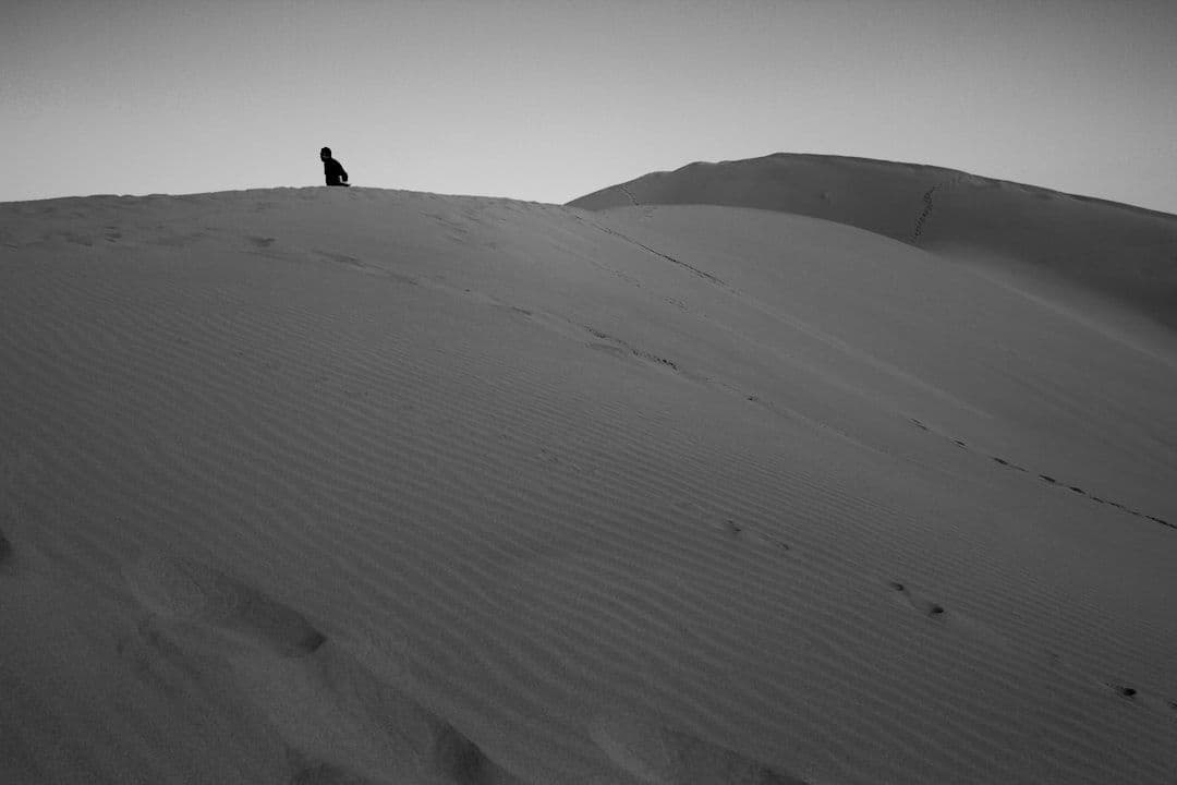 GraphQL vs REST 2026: When to Use Each